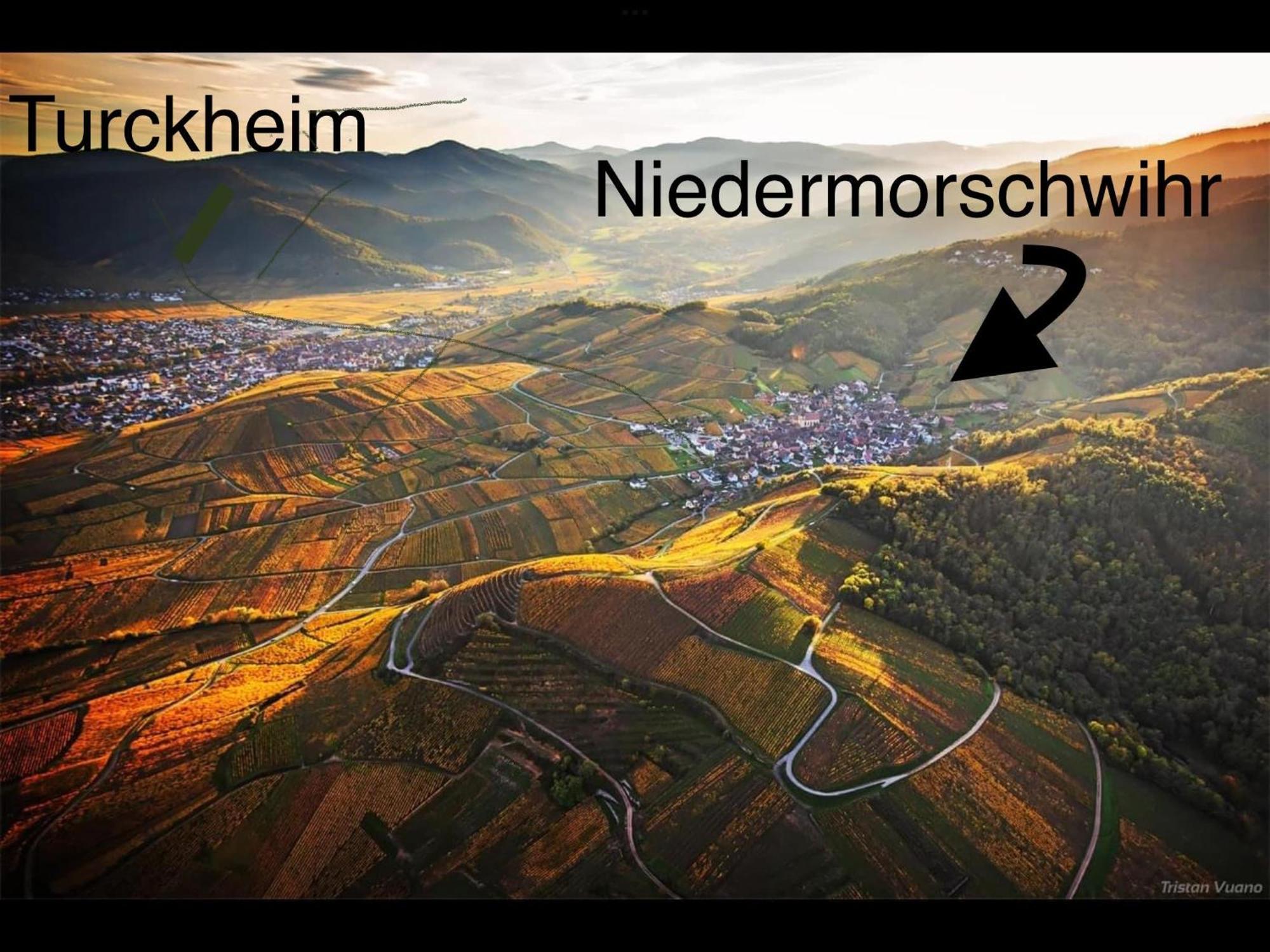 Niedermorschwihr Caveau 1751 מראה חיצוני תמונה